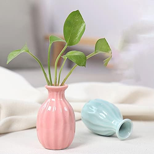“Little Buddies Bud Vase”

مزهرية البراعم الصغيرة