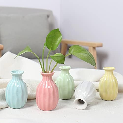 “Little Buddies Bud Vase”

مزهرية البراعم الصغيرة